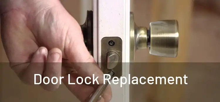  Door Lock Replacement 